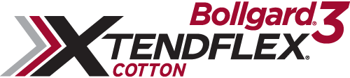 Bollgard 3 XtendFlex Cotton