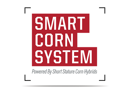Smart Corn System: Powered By Short Stature Corn Hybrids
