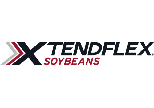 XtendFlex Soybeans
